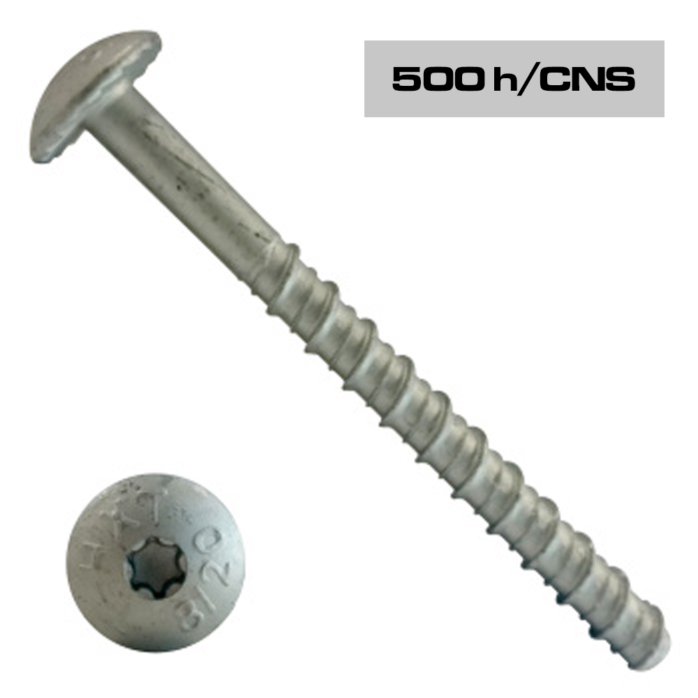 mushroom TX head with serration concrete screw - sst